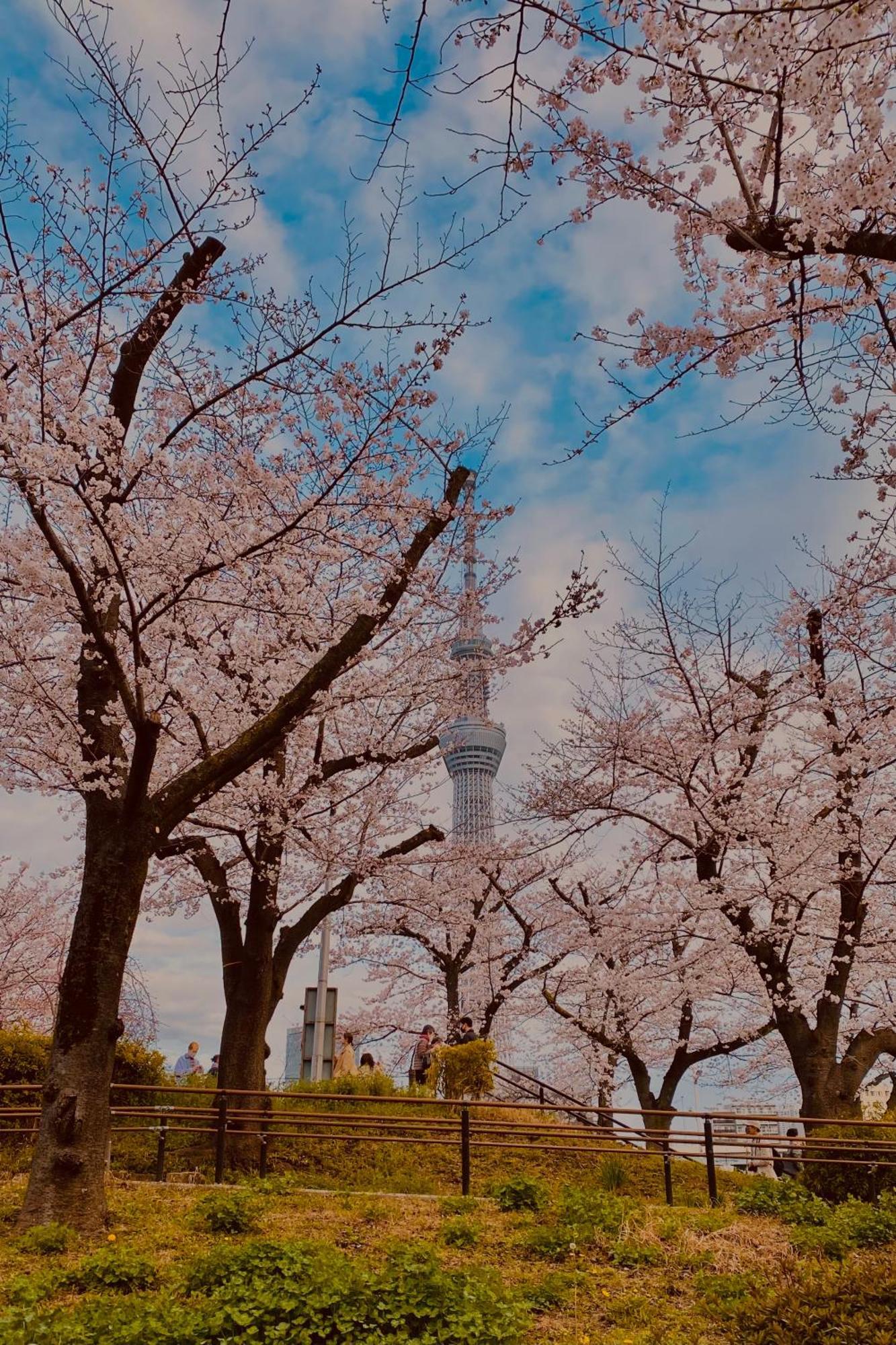 Toe Library Tokyo Asakusa 外观 照片